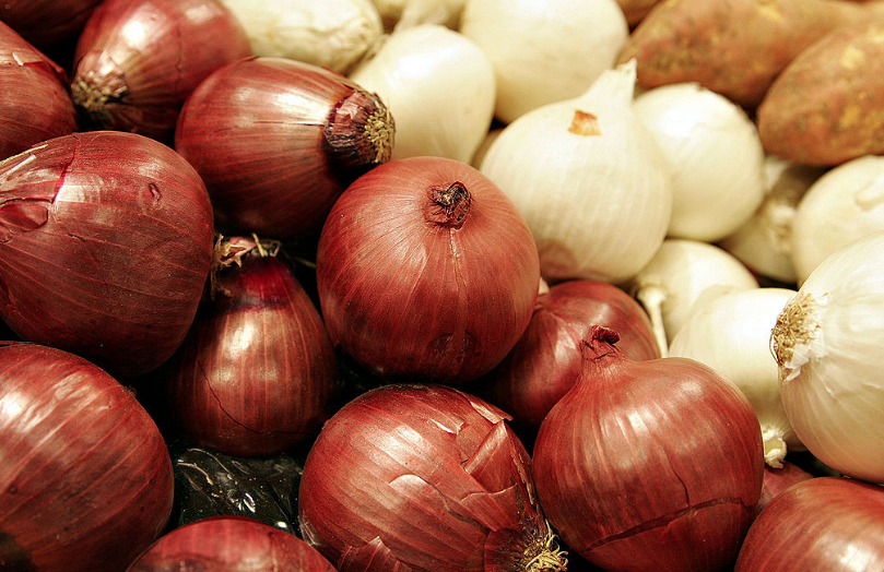 Alerta Sader por presencia de Salmonella en cebollas.