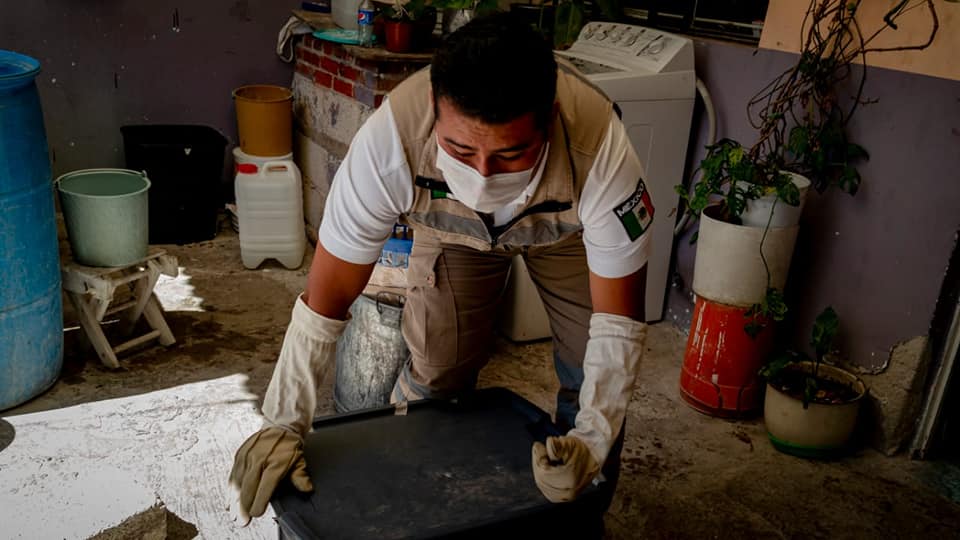 Rescatan Cacomixtle en Amozoc