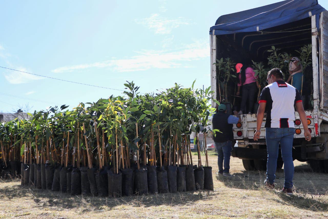 Reciben agricultores de Amozoc apoyo para el campo.