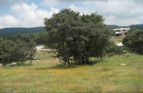 Amozoc y Huejotzingo en la mira para construcción de naves industriales.