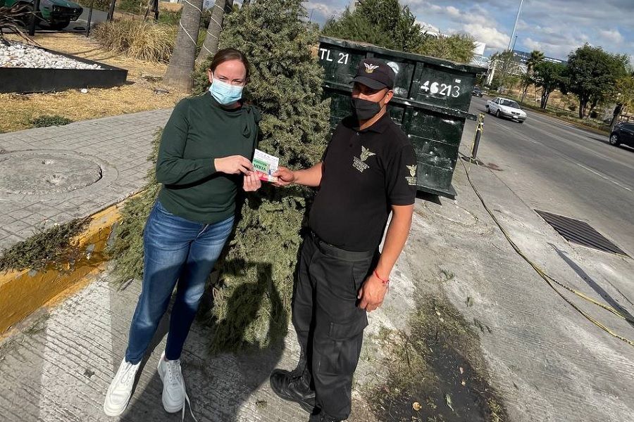 Invita regidora del PVEM a reciclar árboles y abonar a reforestación