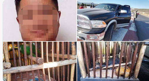 Detienen a presunto traficante de aves exóticas en la Amozoc Perote