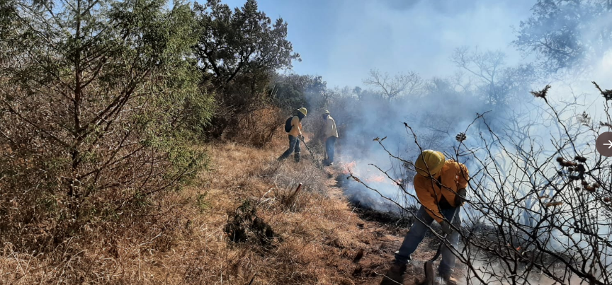 Brigadas forestales extinguen fuego en Amozoc, Libres y Puebla.