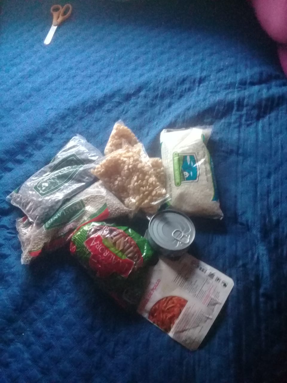 Los Juegos

Daniela Mier, la aliada del PAN, y la madriguera que conspira