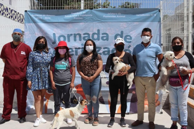 Con éxito se llevó a cabo jornada de esterilización en Amozoc.