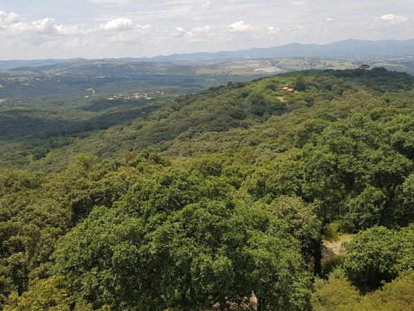 Declara Gobierno de Puebla a "Flor del Bosque" como Área Natural Protegida