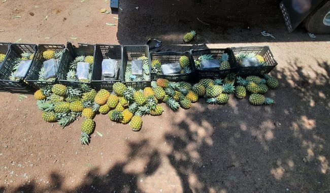 En Amozoc, Guardia Nacional y Ejército Mexicano interceptan cargamento de cocaína oculto entre rejillas de fruta.
