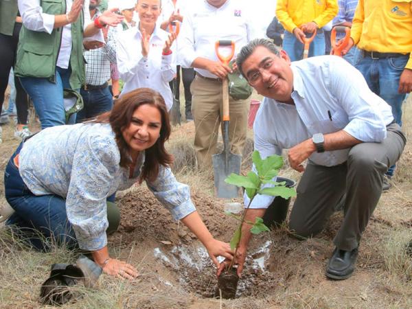 Comienza gobierno de Puebla reforestación de Flor del Bosque.