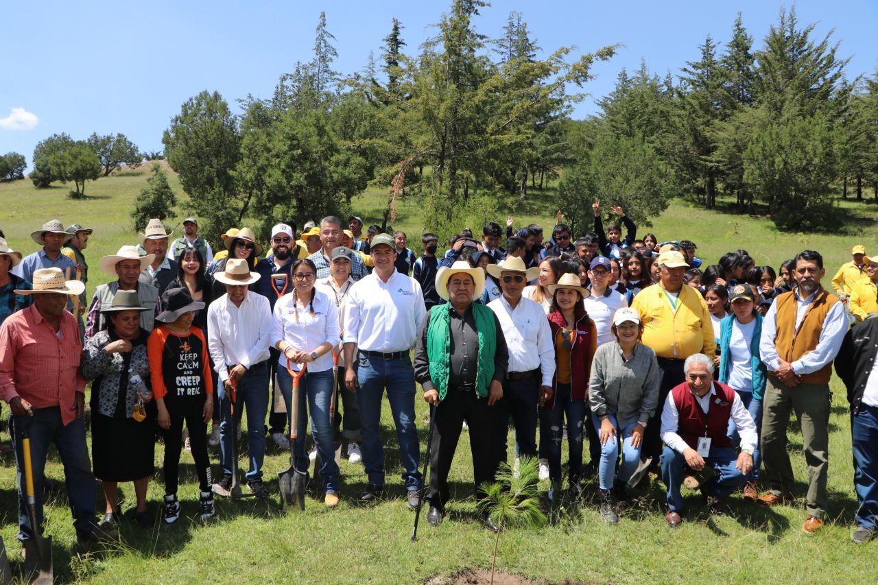 Autoridades realizan jornada de reforestación en Amozoc