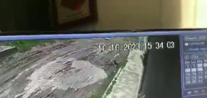 "Tragedia en Santa Margarita: Un perrito indefenso pierde la vida a manos de un conductor de camión de agua"