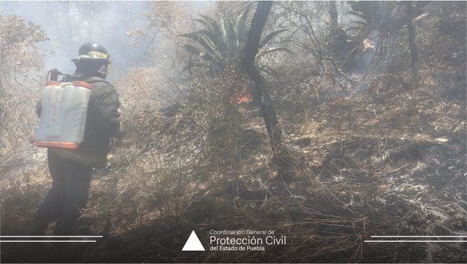 Incendio en cerro del Tepeyac en Amozoc ha sido liquidado 🔥🌳