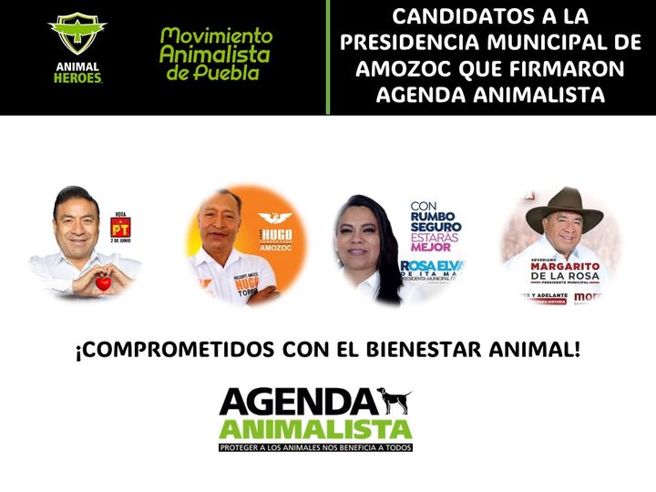 ¡Buena noticia para el bienestar animal en Amozoc!