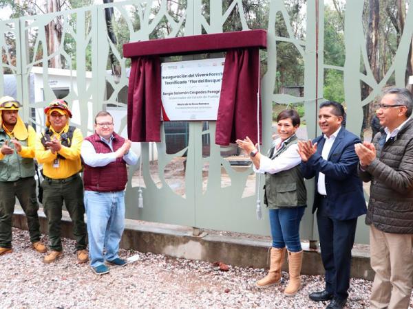 Producirá vivero “Flor del Bosque” 200 mil plantas anualmente: Medio Ambiente