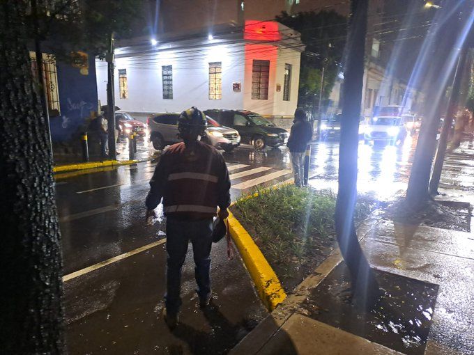 Incidentes por tormenta en Amozoc: caen tres árboles, sin lesionados