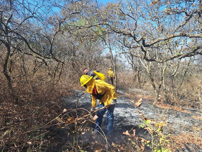Controlado incendio forestal en el Parque Flor del Bosque, Amozoc