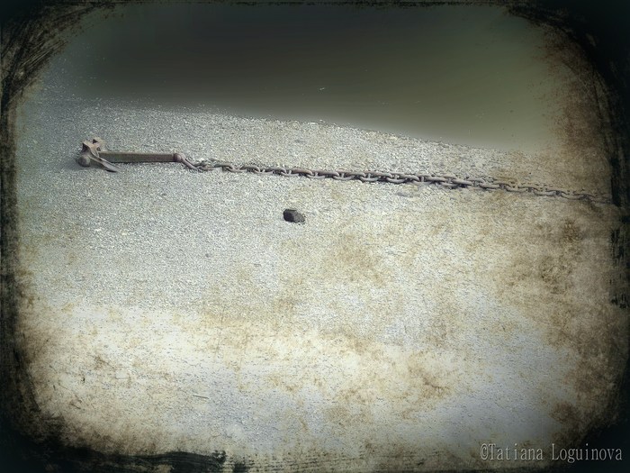 "TLart"s new publication in PhotoVogue/Italia