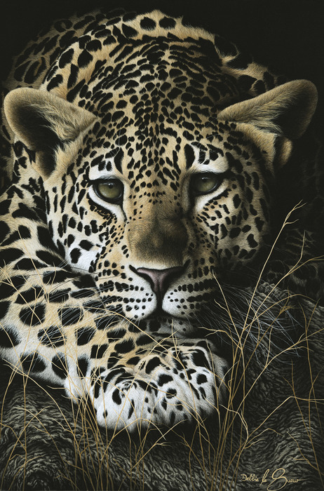 Light Space & Time 'ANIMALS' Art Competition