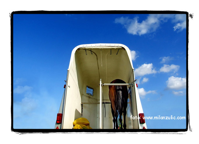 Milan Zulic - First Prize for photo collection Freedom