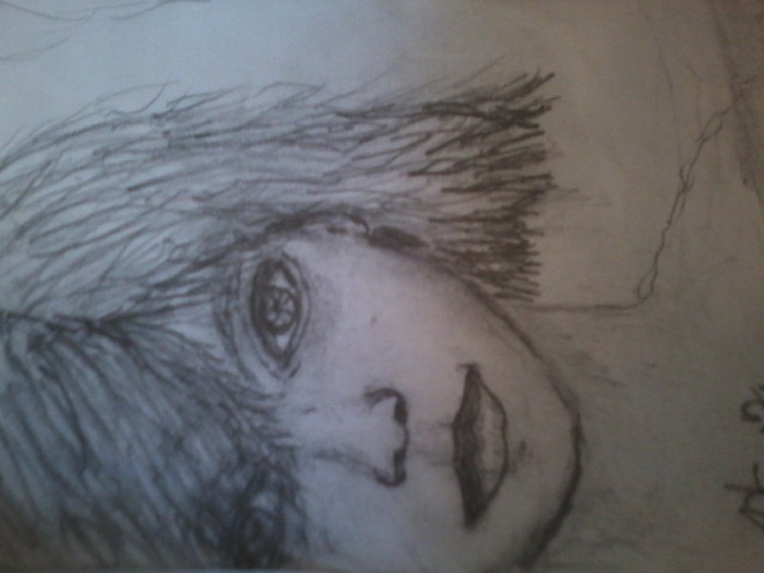 passion for faces 