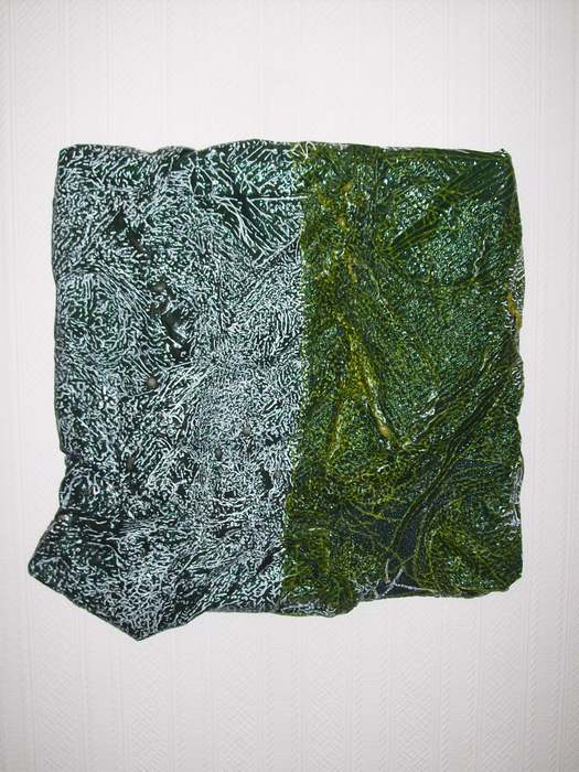Ungreened Paulin