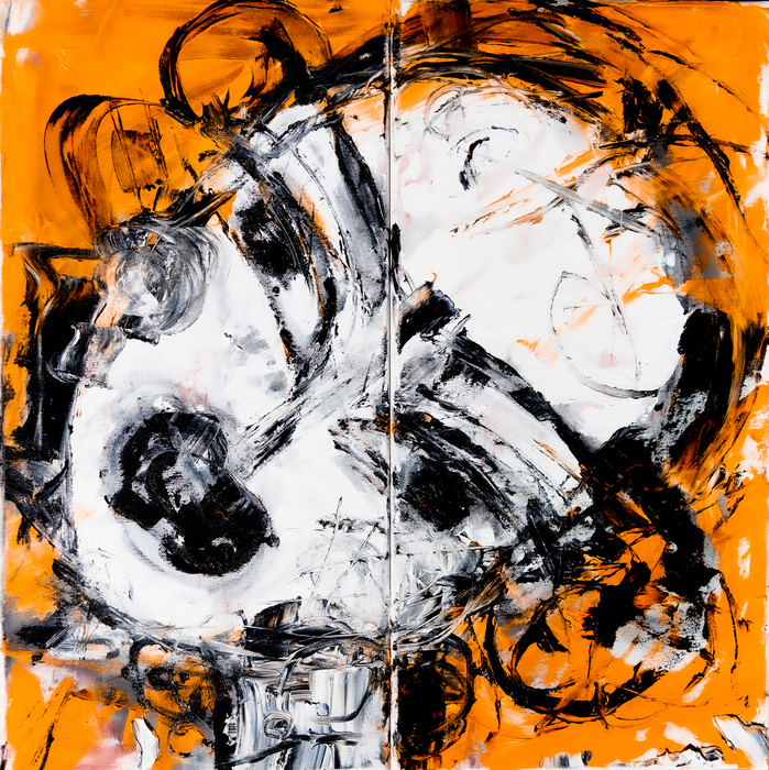 Divided Faces 