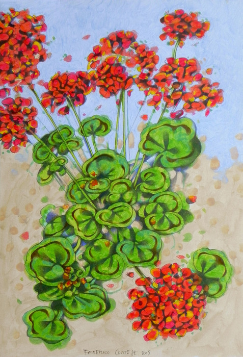 Geraniums