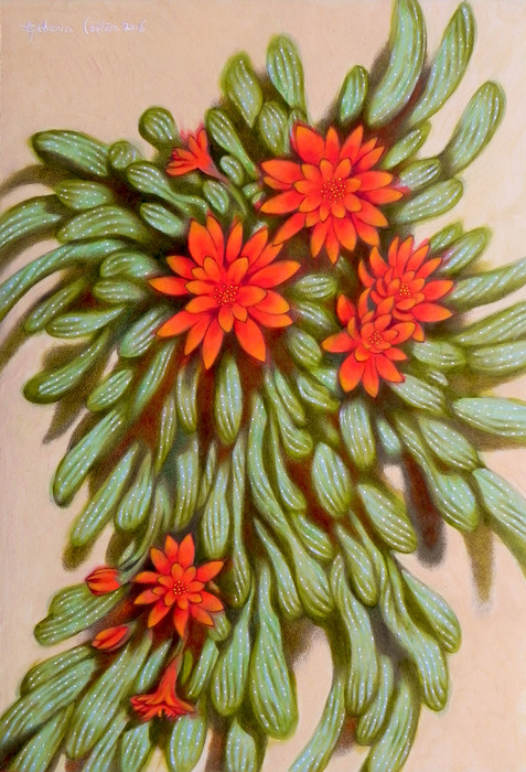 Red flowers