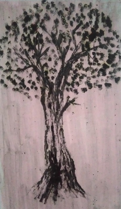 Rain forest