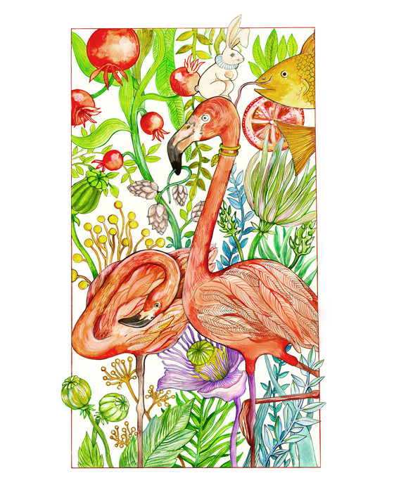 Flamingos