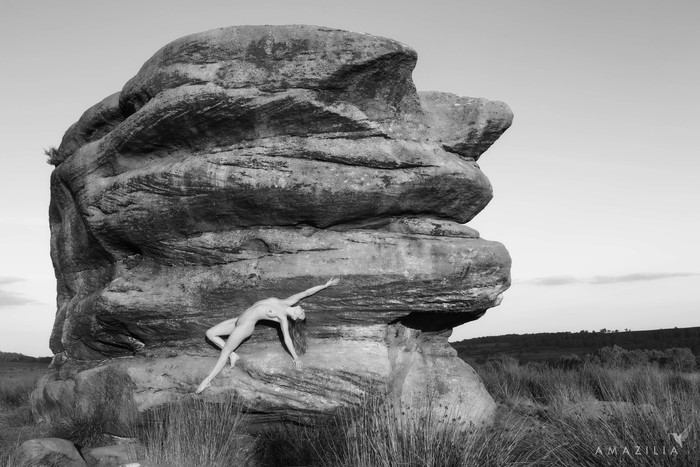 Amazilia - New Online Photographic Exhibitions