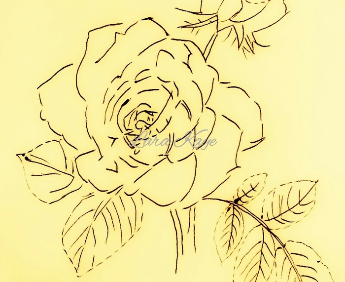 Roses