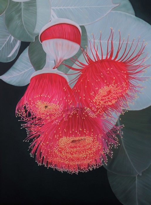Eucalyptus Bloom..