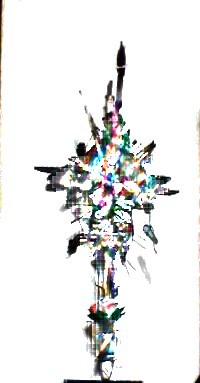 Fly