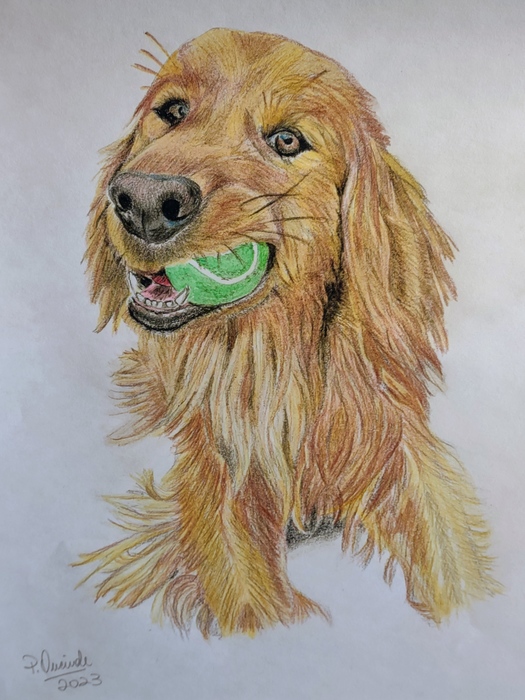 Doggie