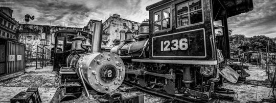 Photomorphosis II