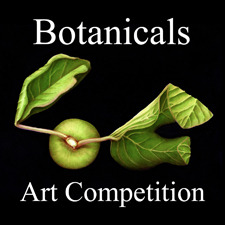 Art Call – Botanicals & Floral Online Art Competition