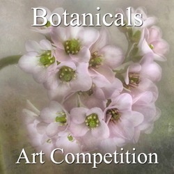 Call for Art – 7th Annual “Botanical & Floral” Online Art Competition