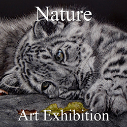 “Nature” 2018 Art Exhibition Ready to be Viewed Online