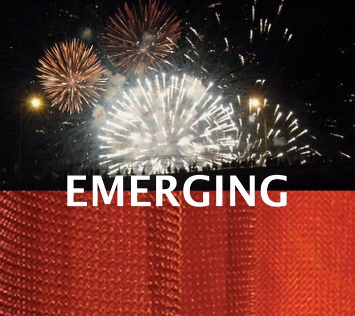 EMERGING--a juried exhibition at ARC in Oct-Nov