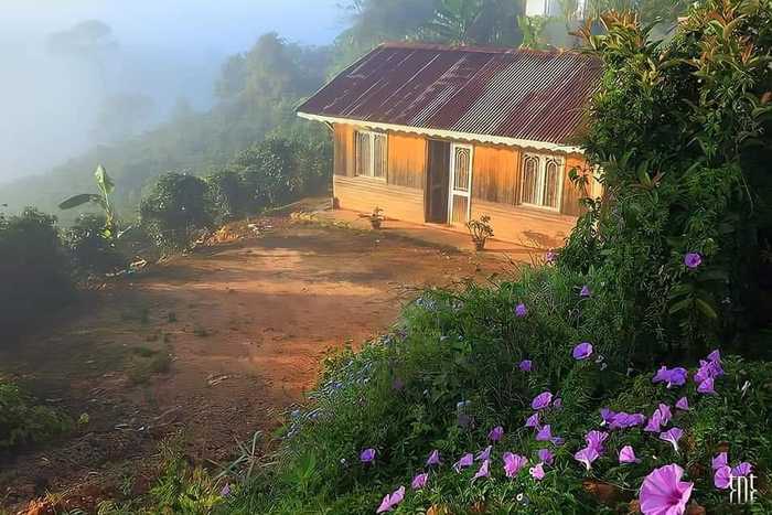 Landscape in Dalat