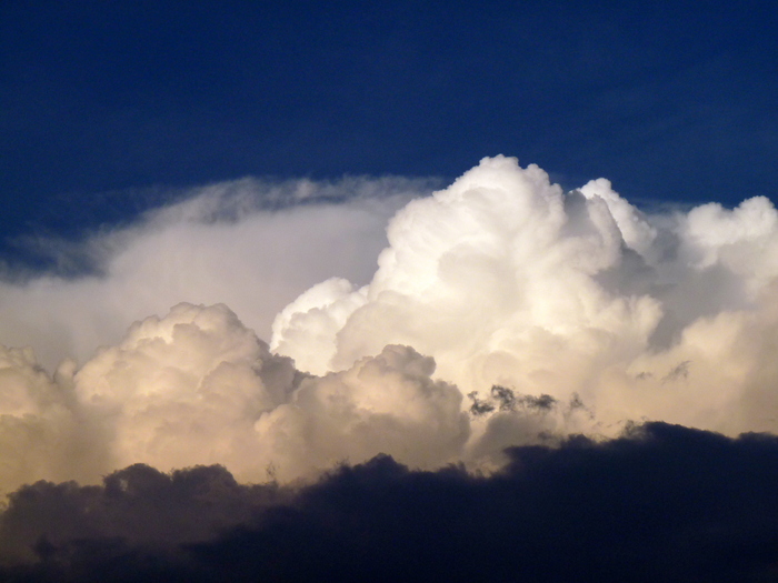 Cumulus Clouds