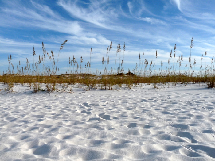 Florida Panhandle Beach Sands