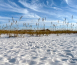 Florida Panhandle Beach Sands