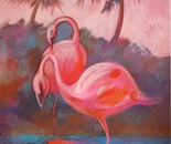 Flamingo