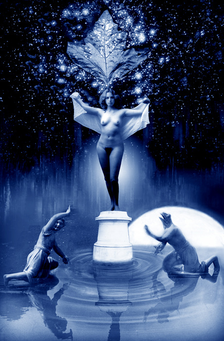 THE BEAUTY AND THE FROG