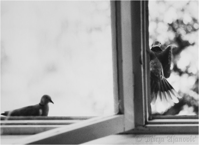 Freedom