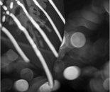 Music of Light 0