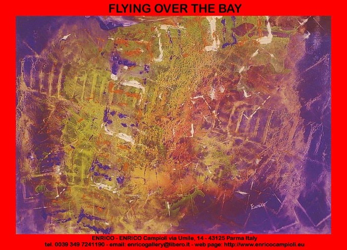 Flying over the bay 