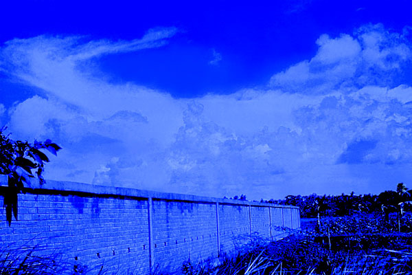 Voice of tranquillity