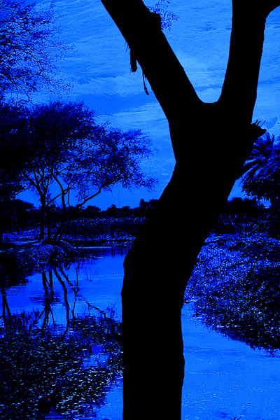Voice of tranquillity